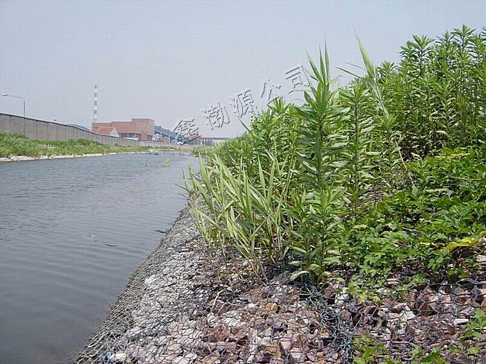 水土保持石笼网 水土保持石笼网