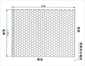 赛克格宾-04