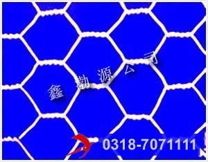 1463364151857978.jpg 五拧石笼网.jpg