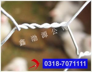 1463364158370310.jpg 五拧石笼网1.jpg